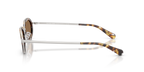 Tortoise