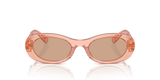 Noisette Transparent