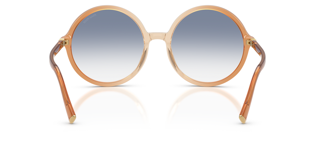 Brown Gradient Brandy