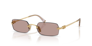 Gold  - Light Purple Brown