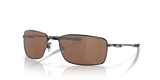 Tungsten - Prizm Tungsten Polarized