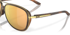 Brown Tortoise