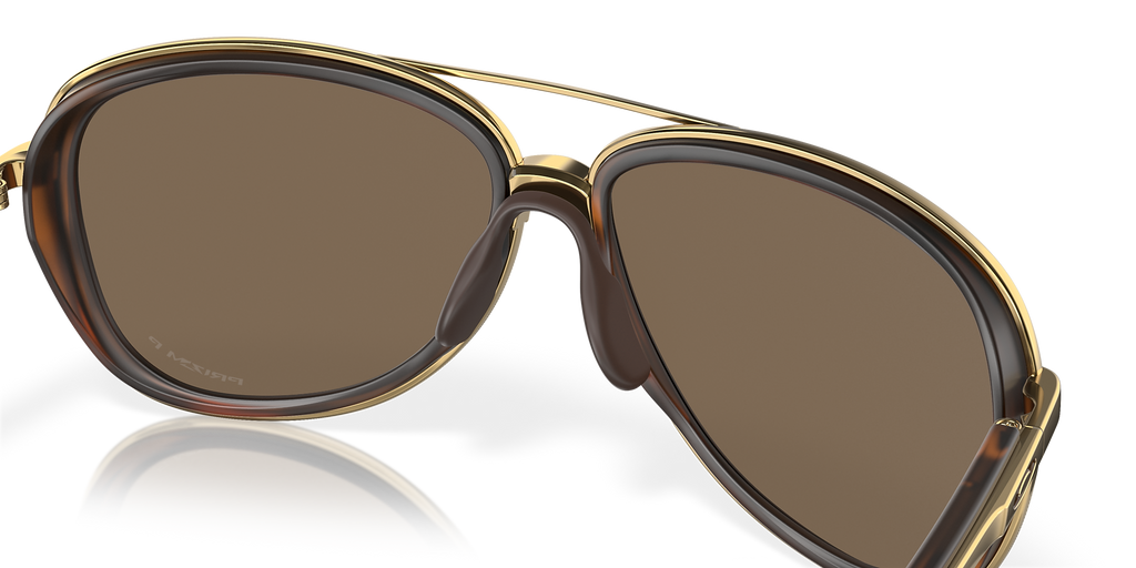 Brown Tortoise