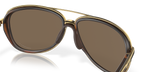 Brown Tortoise