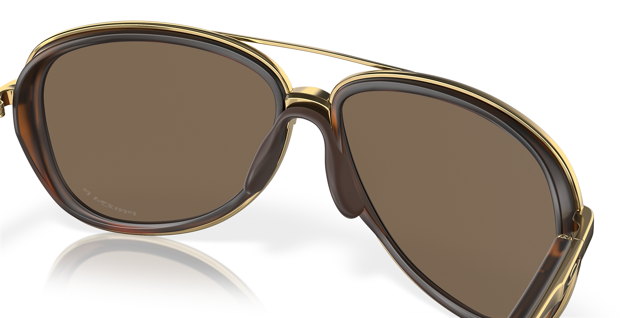 Brown Tortoise