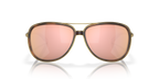 Brown Tortoise