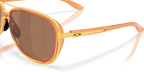 Transparent Ginger