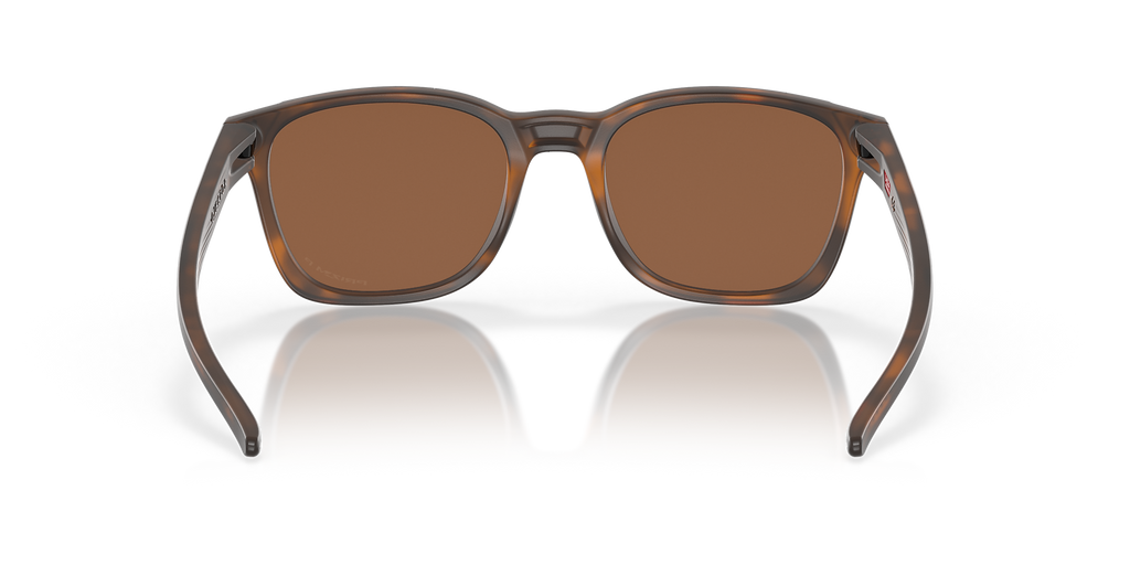 Matte Brown Tortoise