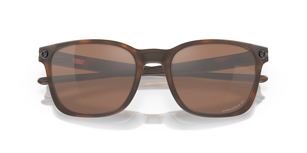 Matte Brown Tortoise