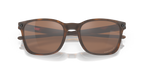 Matte Brown Tortoise