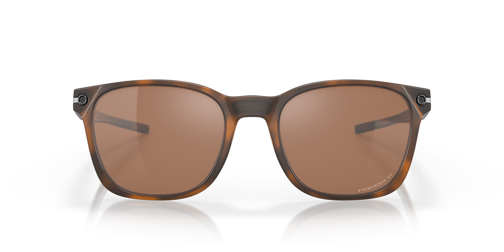 Matte Brown Tortoise