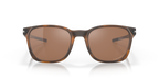Matte Brown Tortoise