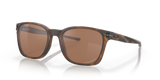 Matte Brown Tortoise - Prizm Tungsten Polarized