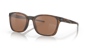 Matte Brown Tortoise - Prizm Tungsten Polarized
