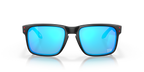 Oakley OO9231 Heliostat