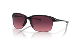 Polished Black