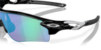 Polished Black