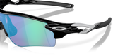 Polished Black
