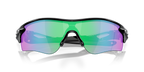 Polished Black