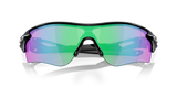 Polished Black