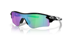Polished Black