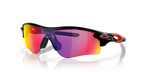 Polished Black