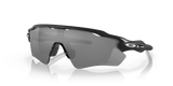 Matte Black - Prizm Black Polarized