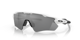 Polished White - Prizm Black Polarized