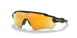 Polished Black - Prizm 24K Polarized