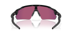 Polished Black