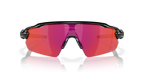 Polished Black