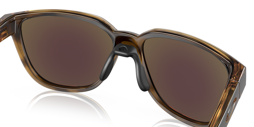 Brown Tortoise