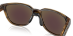 Brown Tortoise