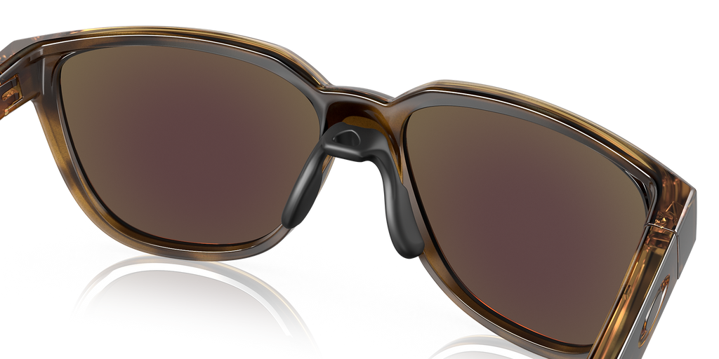 Brown Tortoise