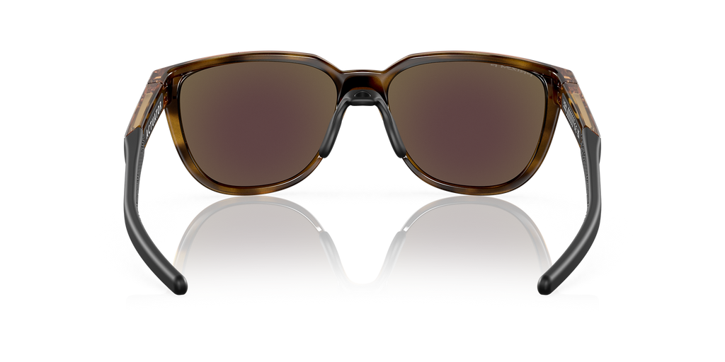 Brown Tortoise