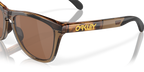 Brown Tortoise/Brown Smoke