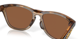 Brown Tortoise/Brown Smoke