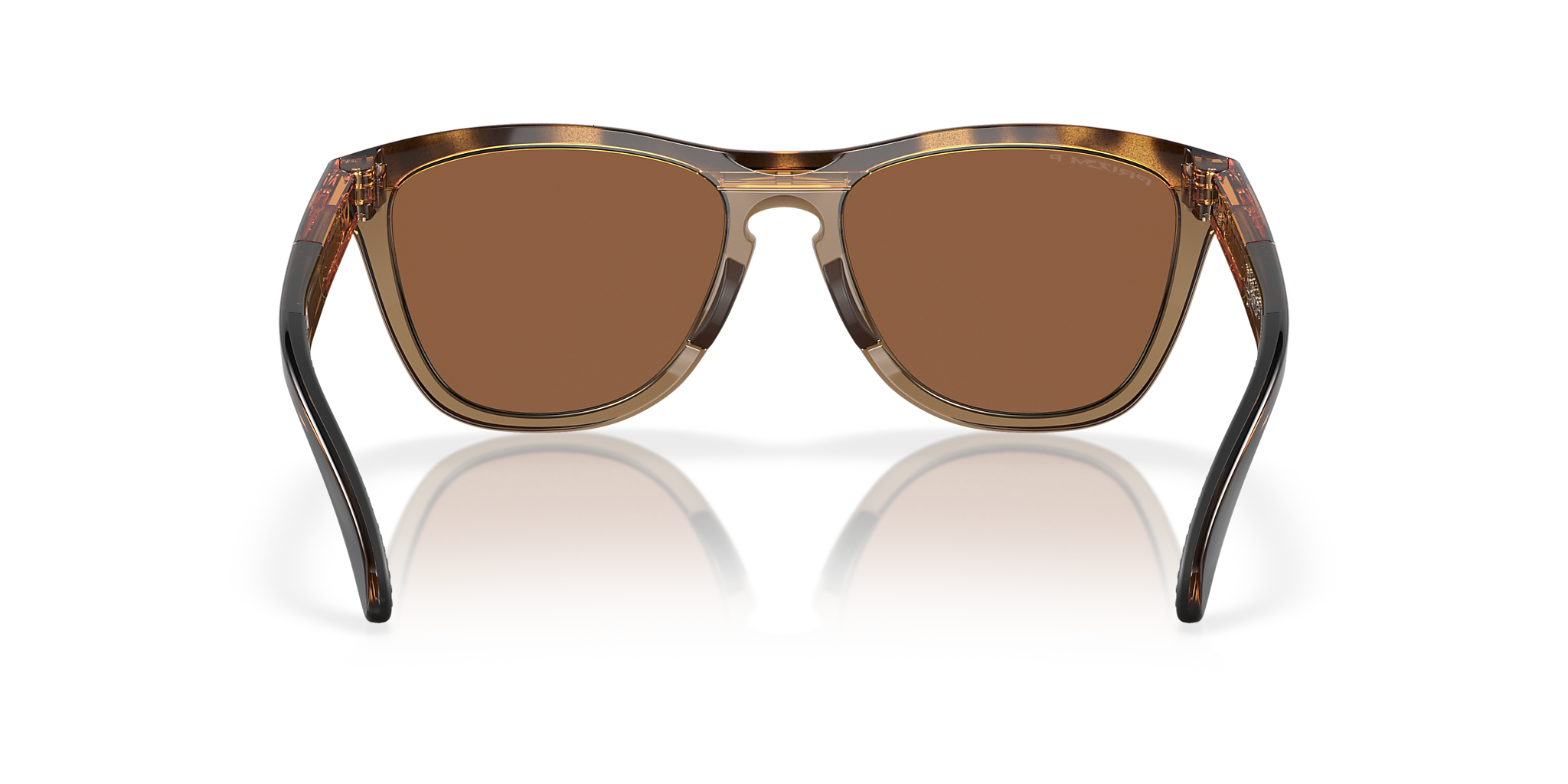 Brown Tortoise/Brown Smoke
