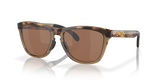 Brown Tortoise/Brown Smoke - Prizm Tungsten Polarized