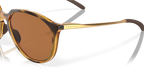 Polished Brown Tortoise