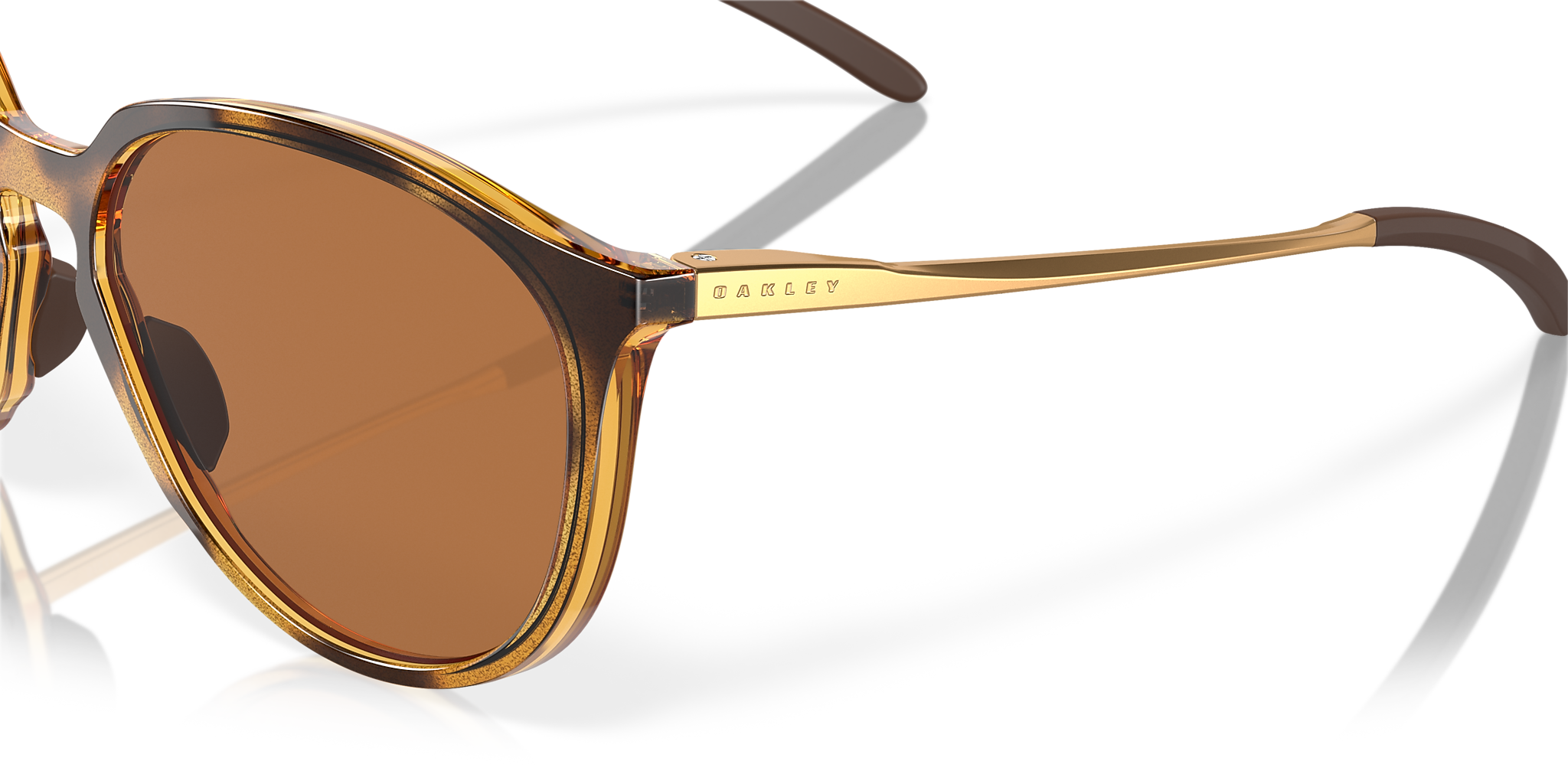 Polished Brown Tortoise