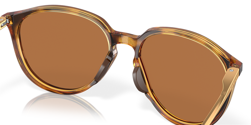 Polished Brown Tortoise