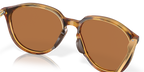 Polished Brown Tortoise