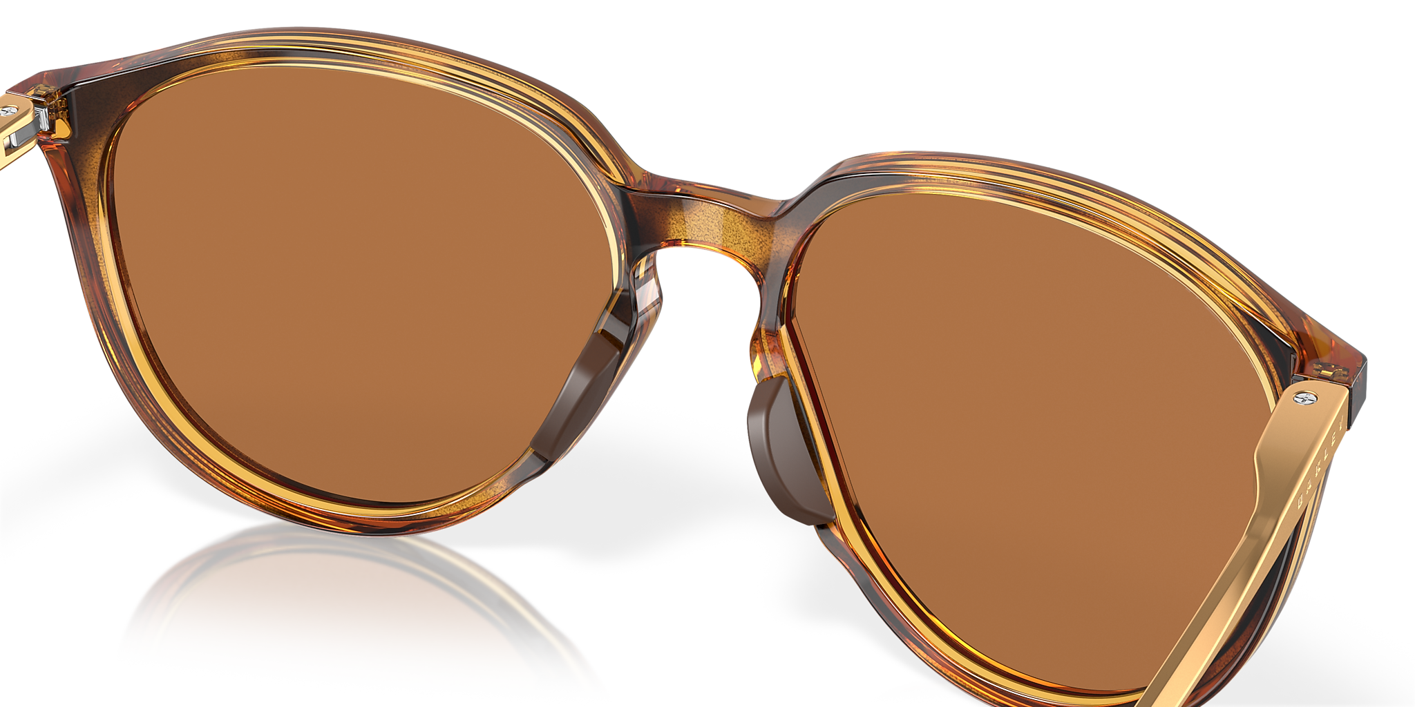 Polished Brown Tortoise