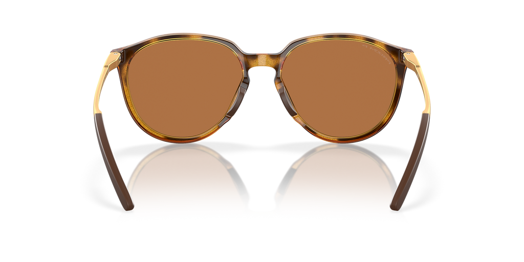 Polished Brown Tortoise