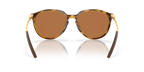 Polished Brown Tortoise
