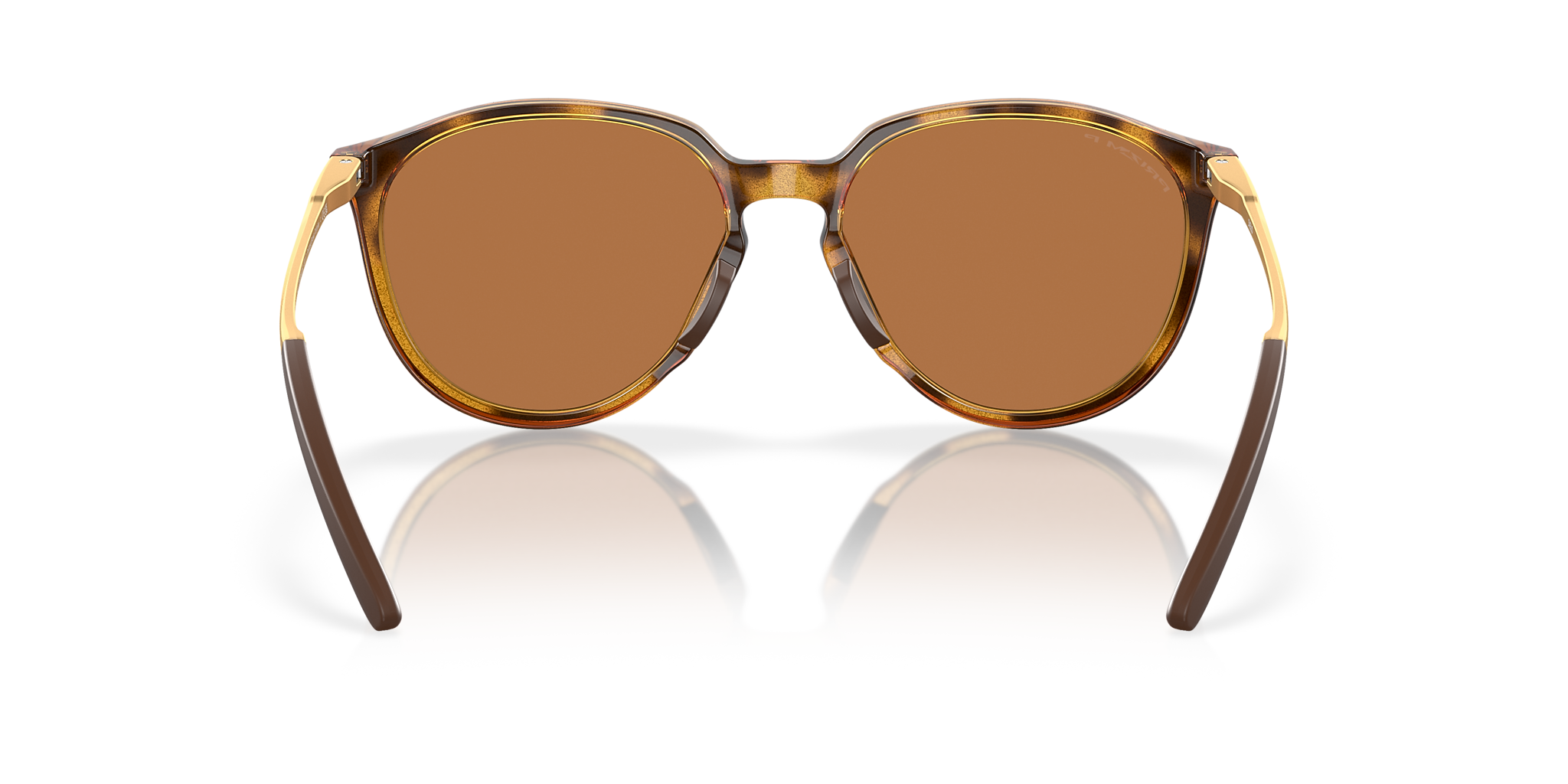 Polished Brown Tortoise