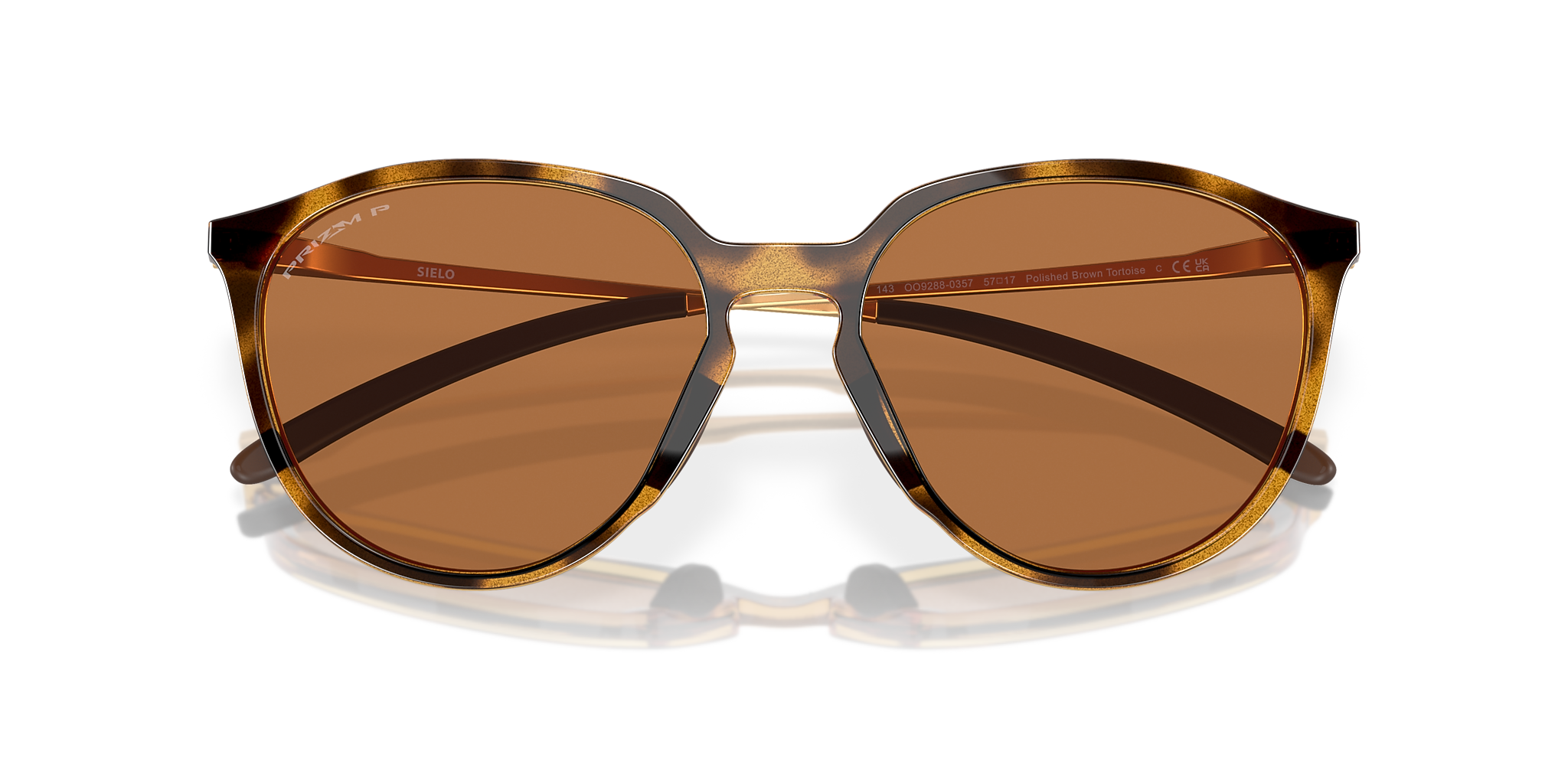 Polished Brown Tortoise