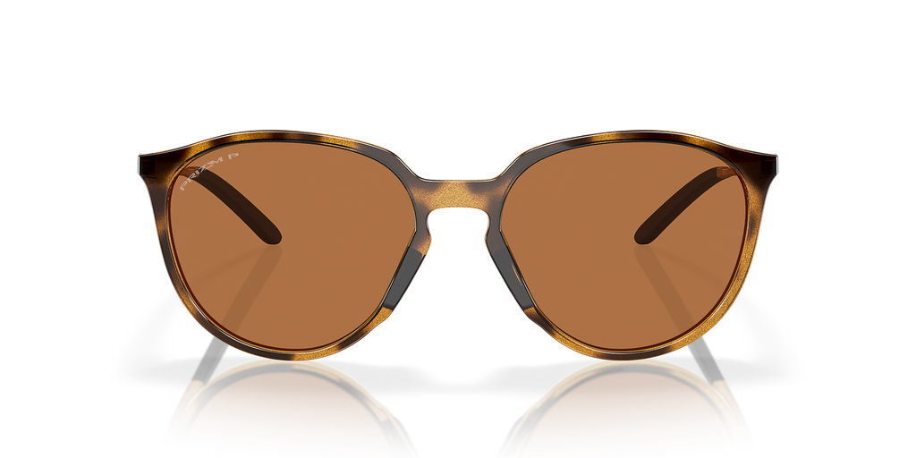 Polished Brown Tortoise