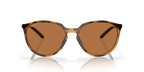 Polished Brown Tortoise
